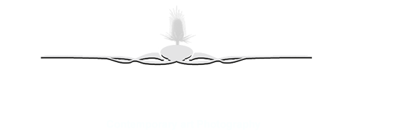 İsmail HAYKIR Resmi Web Sitesi